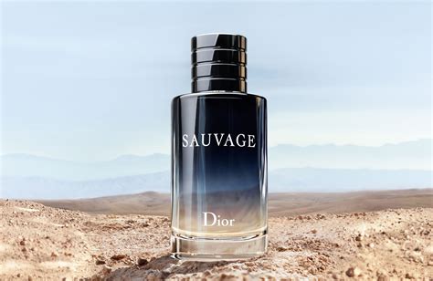 christian dior sauvage eau de toilette 50ml|christian Dior Sauvage fragrance.